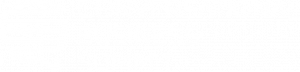 Conversational Business Summit logo